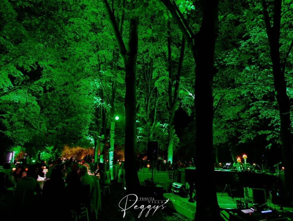 VILLA-PEGGY-MERCOLED-CAPODACQUA-CENA-NEL-BOSCO-06-08-2025---108-IMG2187.jpg